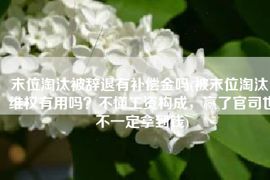 末位淘汰被辞退有补偿金吗(被末位淘汰，维权有用吗？不懂工资构成，赢了官司也不一定拿到钱)