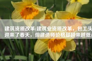 建筑资质改革(建筑业资质改革，包工头迎来了春天，但建造师价格却越来越低)