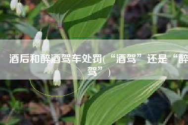 酒后和醉酒驾车处罚(“酒驾”还是“醉驾”)