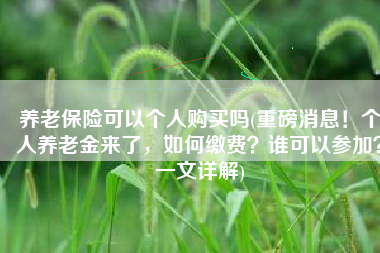 养老保险可以个人购买吗(重磅消息！个人养老金来了，如何缴费？谁可以参加？一文详解)