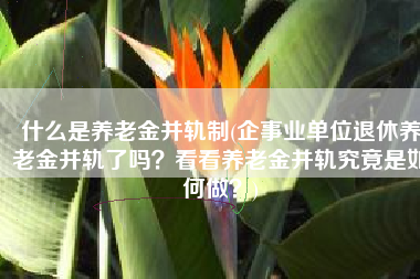 什么是养老金并轨制(企事业单位退休养老金并轨了吗？看看养老金并轨究竟是如何做？)