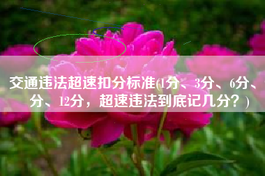 交通违法超速扣分标准(1分、3分、6分、9分、12分，超速违法到底记几分？)