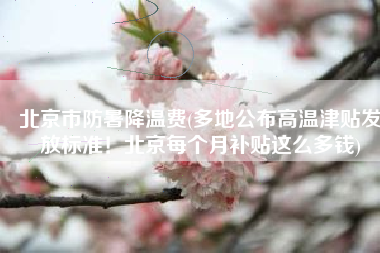 北京市防暑降温费(多地公布高温津贴发放标准！北京每个月补贴这么多钱)