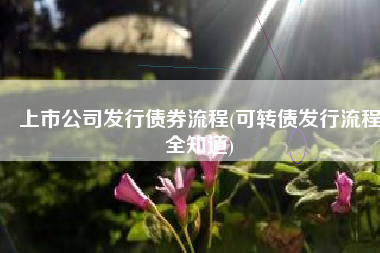 上市公司发行债券流程(可转债发行流程全知道)