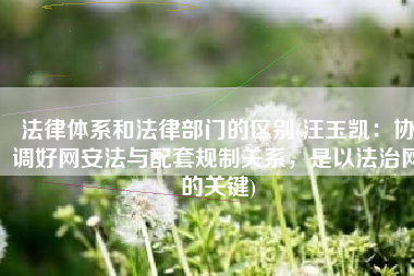 法律体系和法律部门的区别(汪玉凯：协调好网安法与配套规制关系，是以法治网的关键)