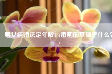 男女结婚法定年龄18(婚姻的基础是什么？)