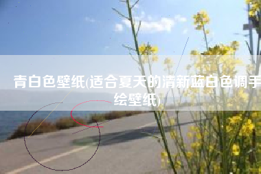 青白色壁纸(适合夏天的清新蓝白色调手绘壁纸)
