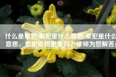 什么是累犯:累犯是什么意思(累犯是什么意思，累犯处罚更重吗？律师为您解答)