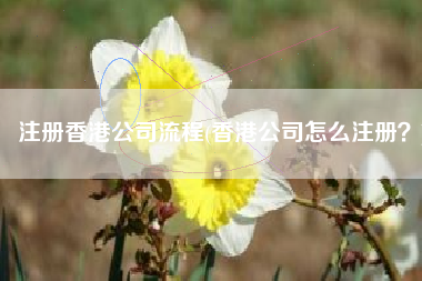 注册香港公司流程(香港公司怎么注册？)