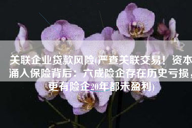 关联企业贷款风险(严查关联交易！资本涌入保险背后：六成险企存在历史亏损，更有险企20年都未盈利)