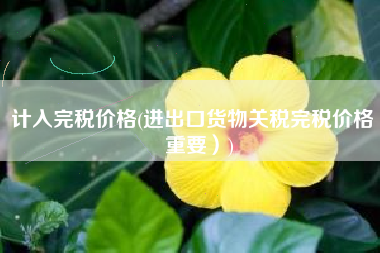 计入完税价格(进出口货物关税完税价格（重要）)
