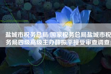 盐城市税务总局(国家税务总局盐城市税务局四级高级主办薛振平接受审查调查)