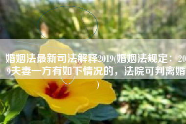 婚姻法最新司法解释2019(婚姻法规定：2019夫妻一方有如下情况的，法院可判离婚！)
