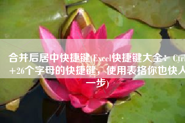 合并后居中快捷键(Excel快捷键大全：Ctrl+26个字母的快捷键，使用表格你也快人一步)