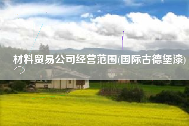 材料贸易公司经营范围(国际古德堡漆)