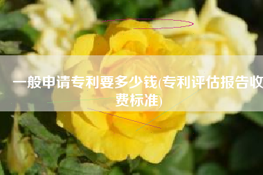 一般申请专利要多少钱(专利评估报告收费标准)