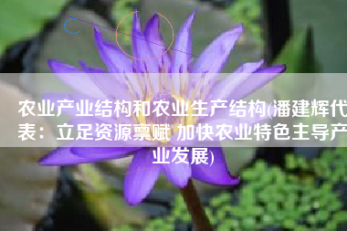 农业产业结构和农业生产结构(潘建辉代表：立足资源禀赋 加快农业特色主导产业发展)
