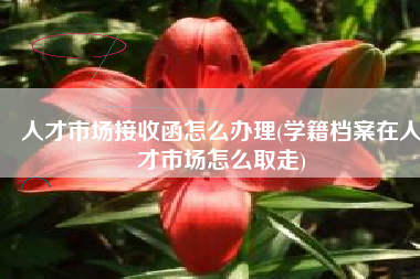 人才市场接收函怎么办理(学籍档案在人才市场怎么取走)