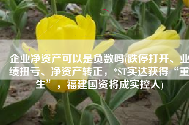 企业净资产可以是负数吗(跌停打开、业绩扭亏、净资产转正，*ST实达获得“重生”，福建国资将成实控人)