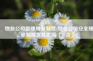 物业公司管理规章制度(物业公司安全规章制度文件汇编（48页）)