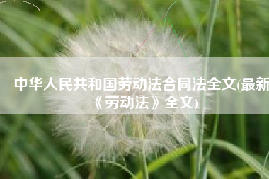 中华人民共和国劳动法合同法全文(最新《劳动法》全文)