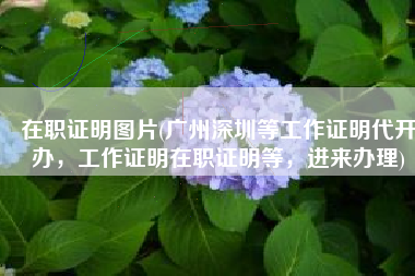 在职证明图片(广州深圳等工作证明代开办，工作证明在职证明等，进来办理)