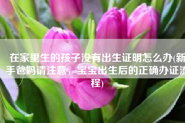 在家里生的孩子没有出生证明怎么办(新手爸妈请注意，宝宝出生后的正确办证流程)