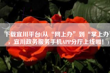 下载宜川平台(从“网上办”到“掌上办”，宜川政务服务手机APP分厅上线啦！)