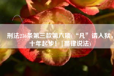 刑法236条第三款第六项(“凡”请入狱，十年起步！|苗律说法)