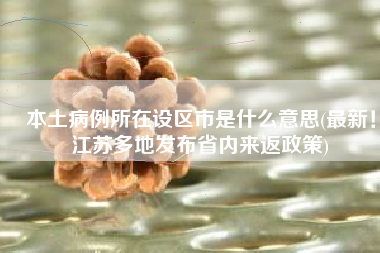 本土病例所在设区市是什么意思(最新！江苏多地发布省内来返政策)