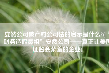 安然公司破产对公司法的启示是什么?(“财务造假鼻祖”安然公司——真正让美国证监会蒙羞的企业)
