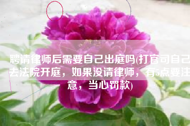 聘请律师后需要自己出庭吗(打官司自己去法院开庭，如果没请律师，有5点要注意，当心罚款)
