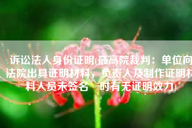 诉讼法人身份证明(最高院裁判：单位向法院出具证明材料，负责人及制作证明材料人员未签名​时有无证明效力)