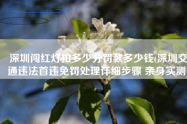 深圳闯红灯扣多少分罚款多少钱(深圳交通违法首违免罚处理详细步骤 亲身实测)