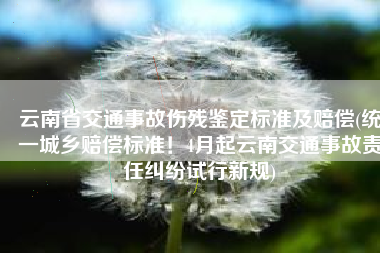 云南省交通事故伤残鉴定标准及赔偿(统一城乡赔偿标准！4月起云南交通事故责任纠纷试行新规)