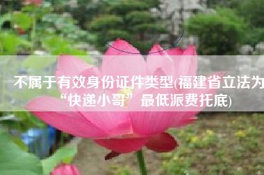 不属于有效身份证件类型(福建省立法为“快递小哥”最低派费托底)