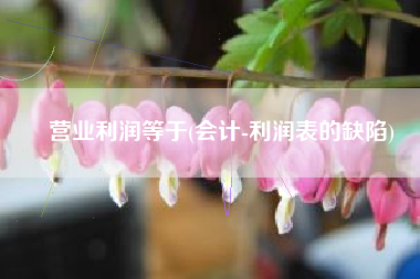 营业利润等于(会计-利润表的缺陷)