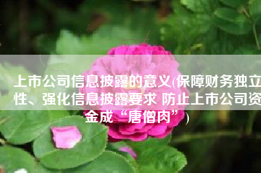 上市公司信息披露的意义(保障财务独立性、强化信息披露要求 防止上市公司资金成“唐僧肉”)