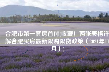 合肥市第一套房首付(收藏！两张表格详解合肥买房最新限购限贷政策（2021年11月）)