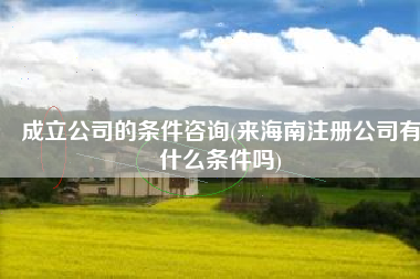 成立公司的条件咨询(来海南注册公司有什么条件吗)