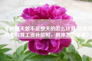 年休假天数不足整天的怎么计算(没休完的年假算工资补偿时，具体怎么计算？)