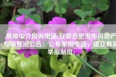 房屋中介投诉电话(安徽合肥发布房地产专项整治公告：公布举报电话，建立有奖举报制度)