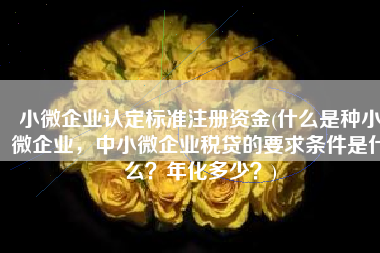 小微企业认定标准注册资金(什么是种小微企业，中小微企业税贷的要求条件是什么？年化多少？)