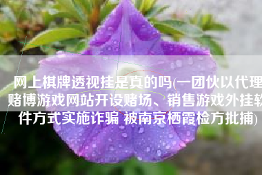 网上棋牌透视挂是真的吗(一团伙以代理赌博游戏网站开设赌场、销售游戏外挂软件方式实施诈骗 被南京栖霞检方批捕)