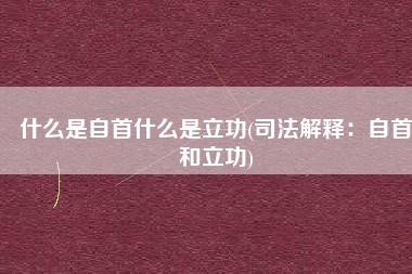 什么是自首什么是立功(司法解释：自首和立功)