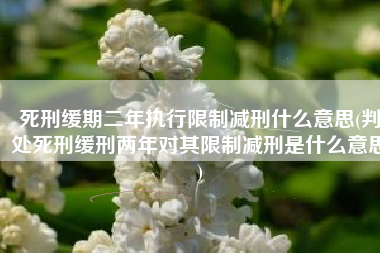 死刑缓期二年执行限制减刑什么意思(判处死刑缓刑两年对其限制减刑是什么意思)