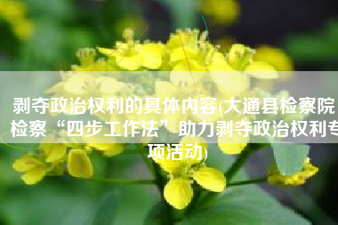 剥夺政治权利的具体内容(大通县检察院：检察“四步工作法”助力剥夺政治权利专项活动)