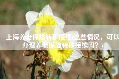 上海养老保险转移接续(这些情况，可以办理养老保险转移接续吗？)