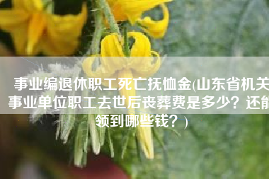 事业编退休职工死亡抚恤金(山东省机关事业单位职工去世后丧葬费是多少？还能领到哪些钱？)