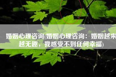 婚姻心理咨询(婚姻心理咨询：婚姻越来越无趣，我感受不到任何幸福)